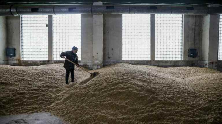 Washington considers “credible” that Moscow “steals” Ukrainian wheat “to sell it”