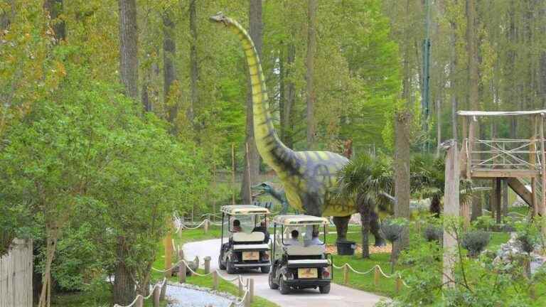 Win 5 Dino Parc family passes with the Auditors Club