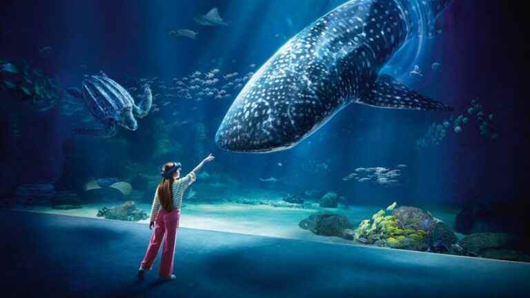 Win your unlimited Nausicaa Pass for 1 year with the Auditors Club