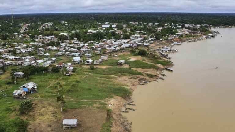 a British journalist and a Brazilian expert disappear in the Amazon