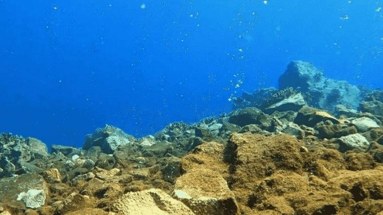 a dive near a fascinating underwater volcano