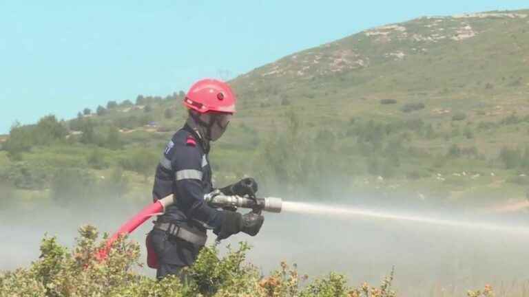 a fire destroys 80 hectares of vegetation