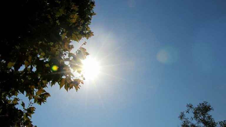 a heat record for the month of June beaten in Ile-de-France this Saturday