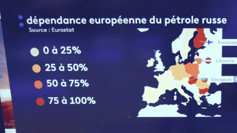 after the embargo, what supply solutions for Europeans?