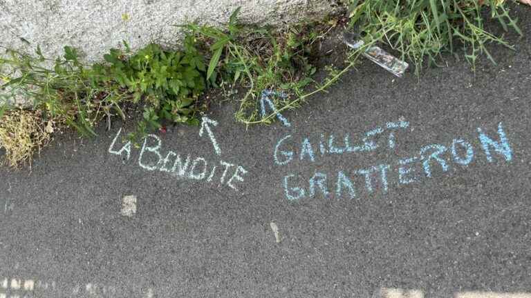 an anonymous person marks the name of wild flowers with chalk in the streets of Buxerolles