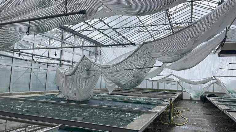 at least 200,000 euros in damage to the municipal greenhouses of Belfort