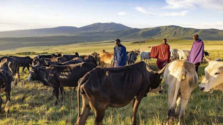 authorities want to keep Maasai away from Ngorongoro and Serengueti national parks