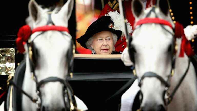 between the queen and the horses, “it’s the passion of a lifetime”