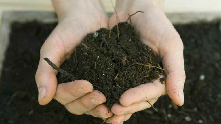 discover the bacteria that will create new antibiotics by donating some soil from your garden