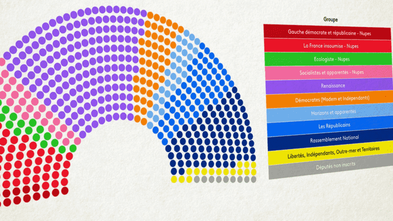 discover the composition of the ten political groups within the hemicycle