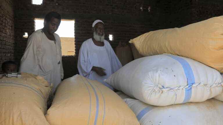 farmers struggle to sell their wheat despite a shortage of bread