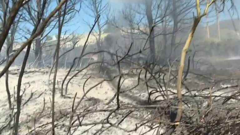 fires threaten the Var and Bouches-du-Rhône