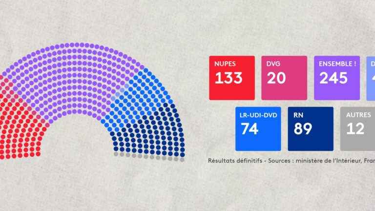 here are the final results and the composition of the new National Assembly