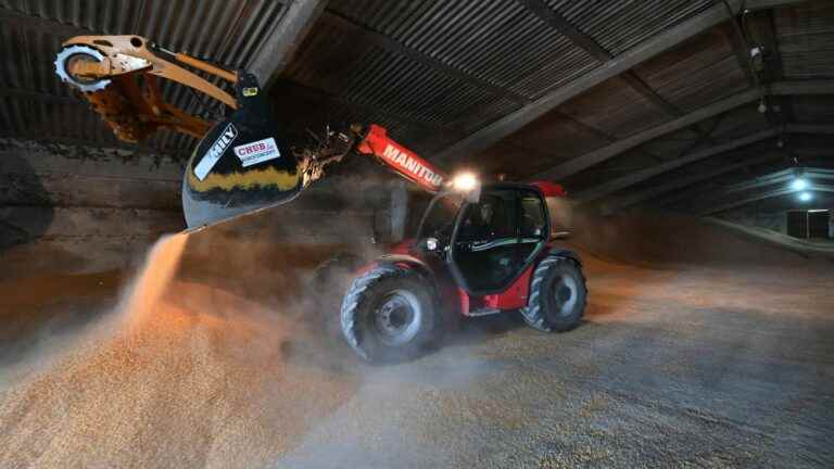 in Odessa, due to the blockade of Russian troops, part of the wheat crop begins to rot