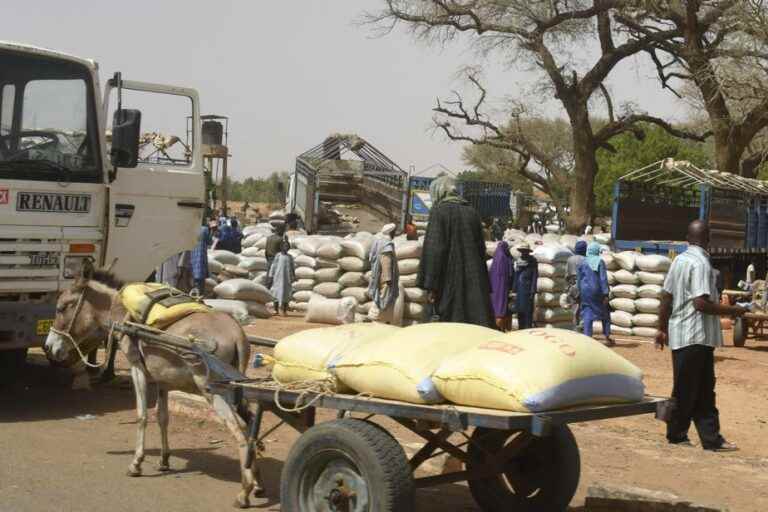 mali |  At least 20 civilians and a peacekeeper killed by armed men