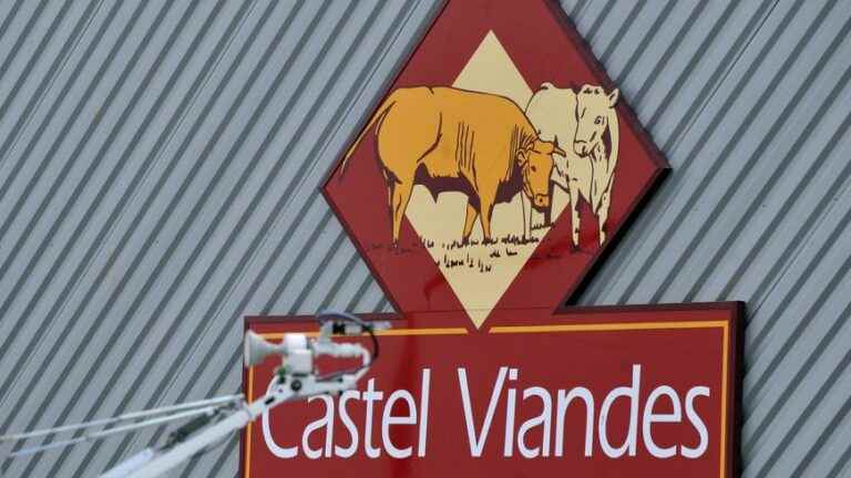 six-month suspended prison sentence for the CEO of the Castel Viandes slaughterhouse