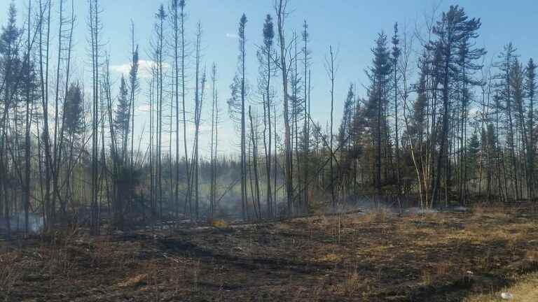 “summer will be difficult” for Colonel Jérôme Bonnafoux of the Hérault firefighters