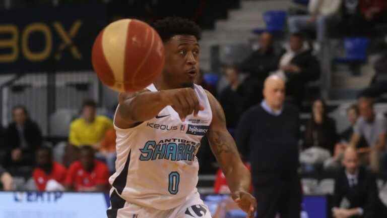 the Antibes Sharks lose in Alsace in the semi-final second leg of the playoffs