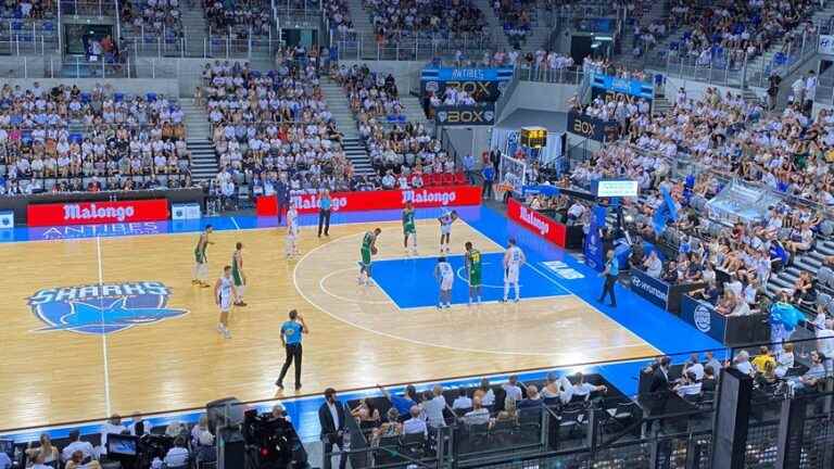 the Antibes Sharks remain in Pro B following their defeat against Blois (67-76)