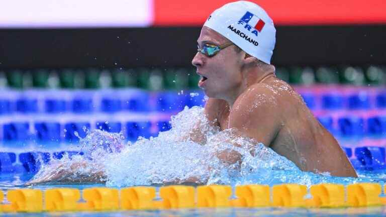 the Toulousain Léon Marchand world champion!