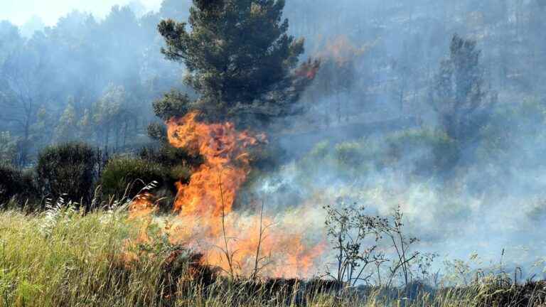 the firefighters of France predict “a summer of all dangers, if man does not pay attention to his own forest”