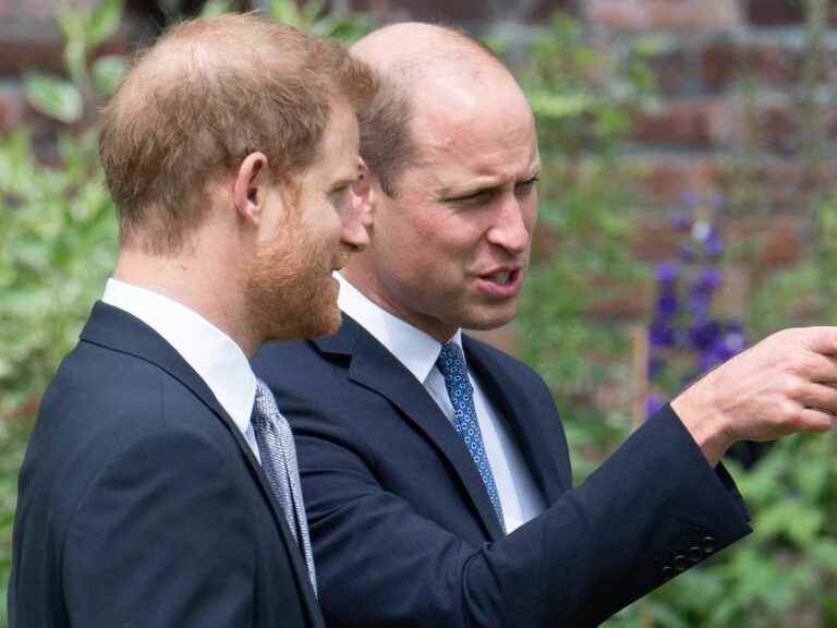 the incredible rule imposed on William and Harry which will not fix their reconciliation…