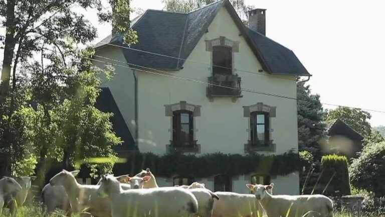 the inhabitants of a village finance the construction of a medical house