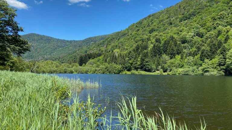 the legends of Lake Sewen