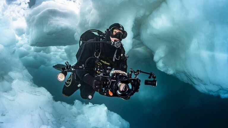 underwater photographer reporter