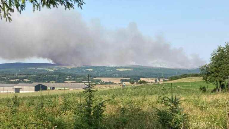 1,400 hectares burned in the fire on the Monts d’Arrée and 500 people evacuated