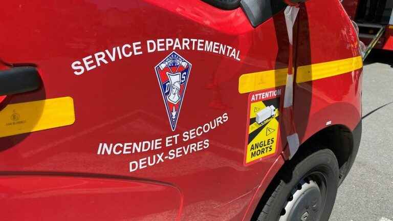 160 hectares burned, four barns destroyed and animals dead in a vegetation fire in Bressuire