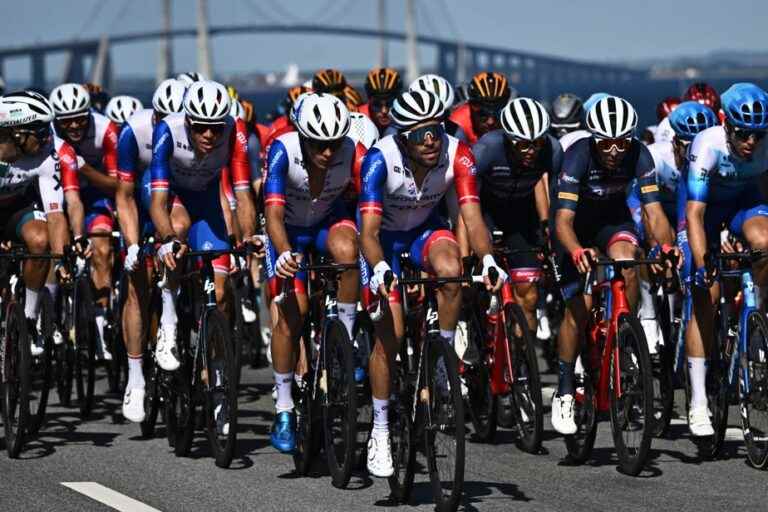 The Press at the Tour de France |  The Quebecers get off lightly in the second stage despite the winds