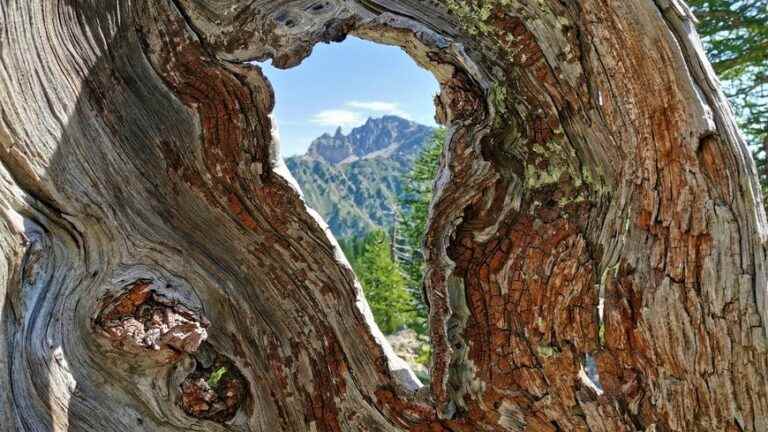 France Bleu Azur tests summer hikes in the Alpes Maritimes: Circuit des Adus