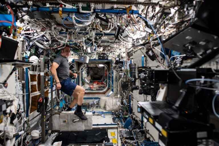 A Montrealer in space |  The Press