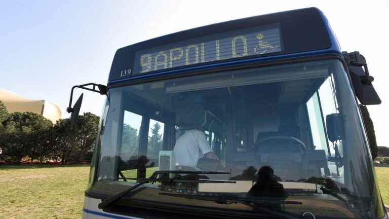 A completely drunk TAM driver arrested at the wheel of his bus in Montpellier