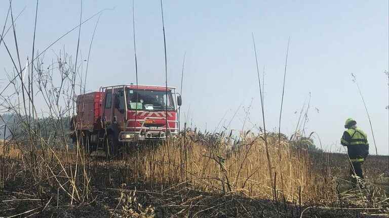 A field on fire in the Dordogne, five hectares of stubble are burned