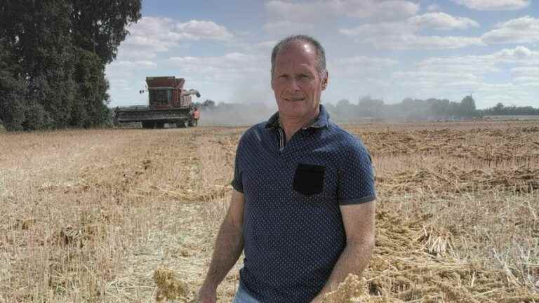 A pig farmer in Flée turns to quinoa production