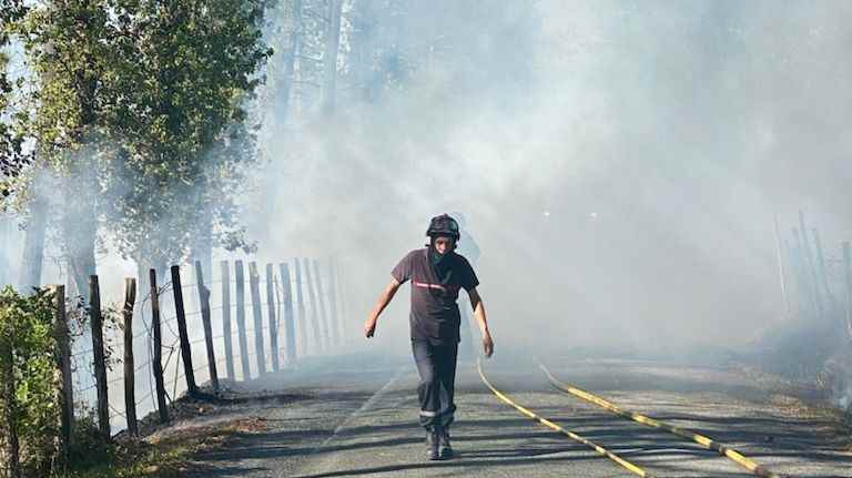 A roadside fire in the Dordogne burns a pine forest, the gendarmes suspect a cigarette butt