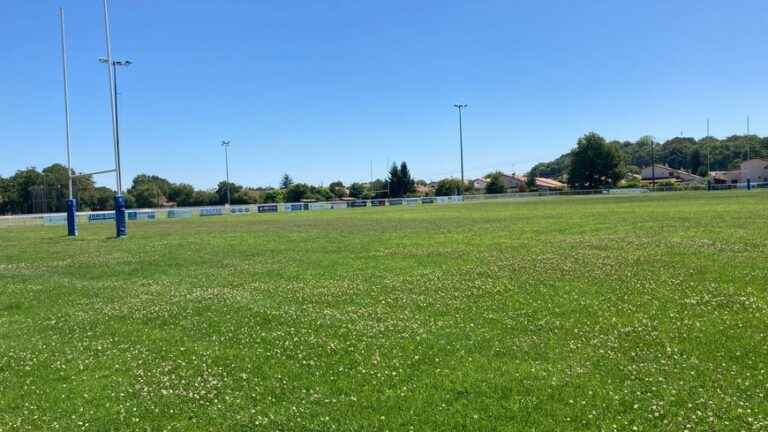 A synthetic field will see the light of day at the Camille Pédarré sports plain in Mont-de-Marsan