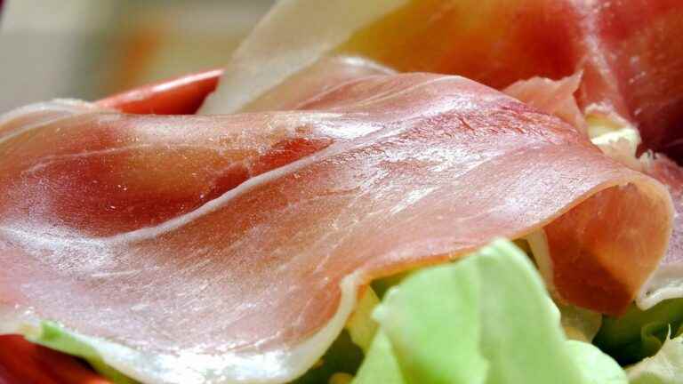 ANSES establishes a link between the risk of cancer and exposure to nitrites, particularly present in cold cuts