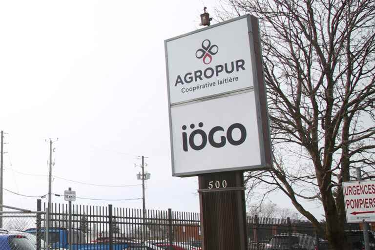 Agropur plant in Granby |  The union ready to interrupt its strike… on one condition