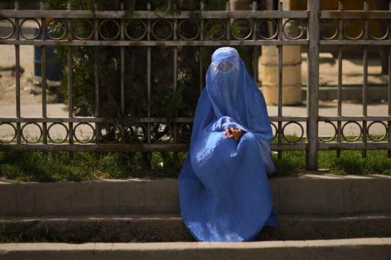 Amnesty International Report |  The “death in slow motion” of Afghan women