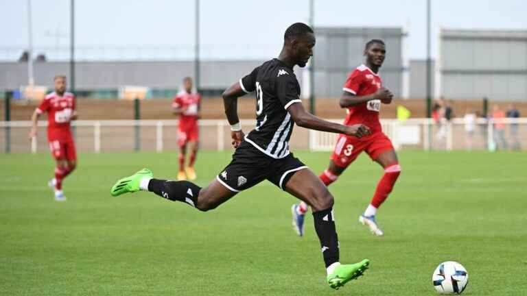 Angers, new faces and many questions