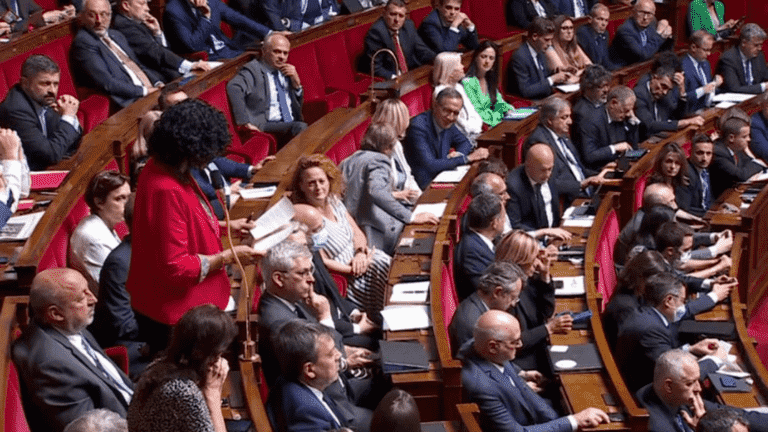 At the National Assembly, the dress of deputies at the heart of bitter debates