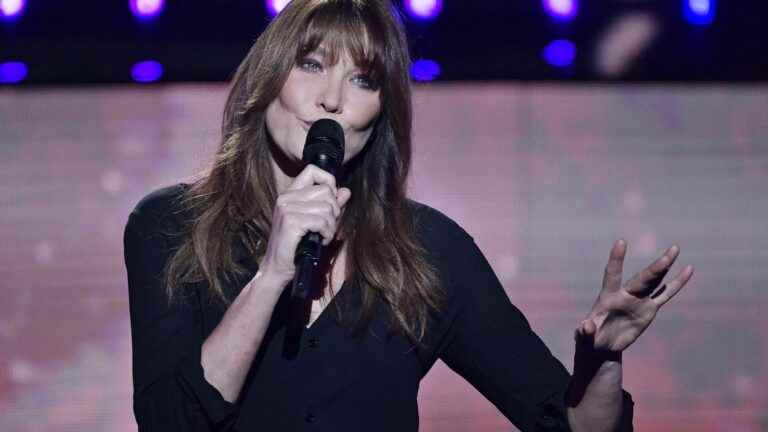 Behind our voices.  Carla Bruni finds “Everyone” in her kitchen