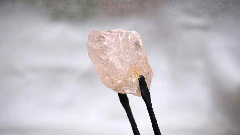 Biggest pink diamond in 300 years found in Angola