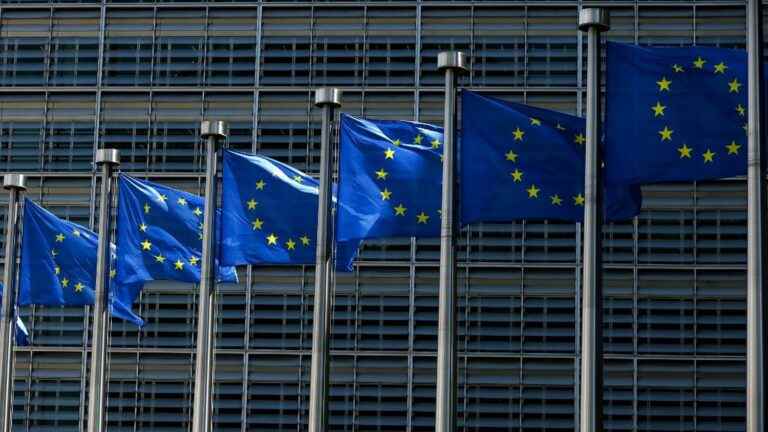 Brussels concerned about compliance with lobbying rules in France