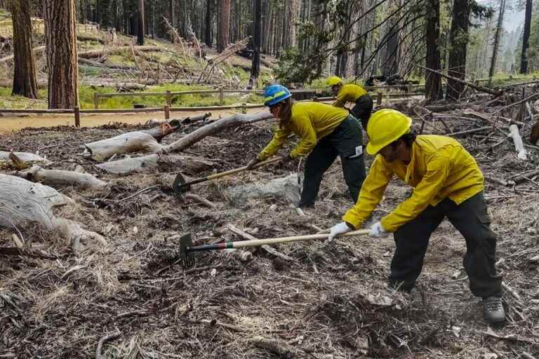 California |  Major fire threatens giant sequoias in Yosemite Park