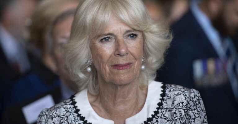 Camilla Parker-Bowles racist?  His remarks on Archie which would have shocked Harry and Meghan Markle