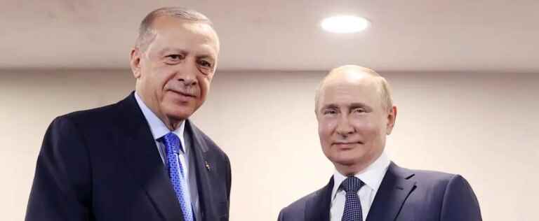 Cereals/Ukraine: Putin signals progress and thanks Erdogan